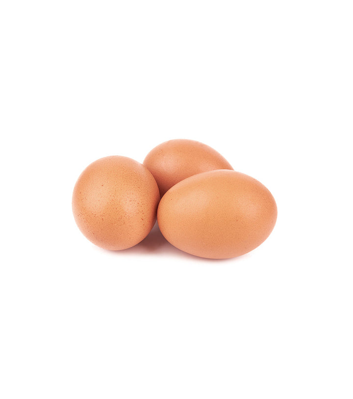 Fresh organic egg